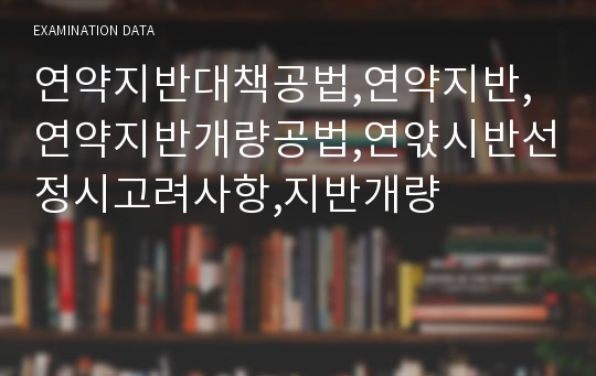 연약지반대책공법,연약지반,연약지반개량공법,연앿시반선정시고려사항,지반개량