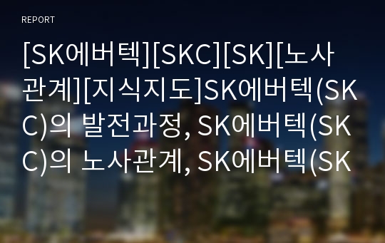 [SK에버텍][SKC][SK][노사관계][지식지도]SK에버텍(SKC)의 발전과정, SK에버텍(SKC)의 노사관계, SK에버텍(SKC)의 지식지도, SK에버텍(SKC)의 성과 분석