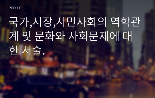 국가,시장,시민사회의 역학관계 및 문화와 사회문제에 대한 서술.