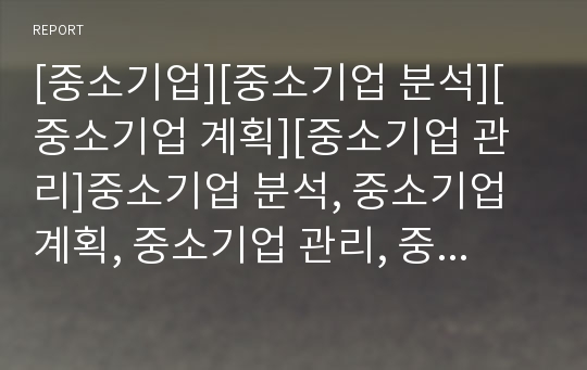 [중소기업][중소기업 분석][중소기업 계획][중소기업 관리]중소기업 분석, 중소기업 계획, 중소기업 관리, 중소기업 평가, 중소기업 지원, 중소기업 대응, 중소기업 전략 고찰