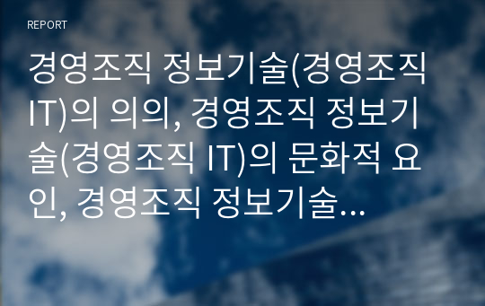 경영조직 정보기술(경영조직 IT)의 의의, 경영조직 정보기술(경영조직 IT)의 문화적 요인, 경영조직 정보기술(경영조직 IT)의 배경, 경영조직 정보기술(경영조직 IT) 선행연구