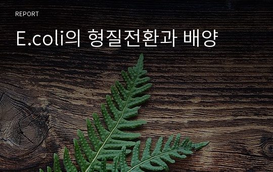 E.coli의 형질전환과 배양