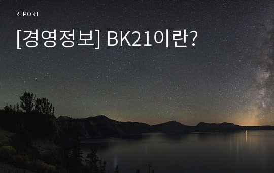 [경영정보] BK21이란?