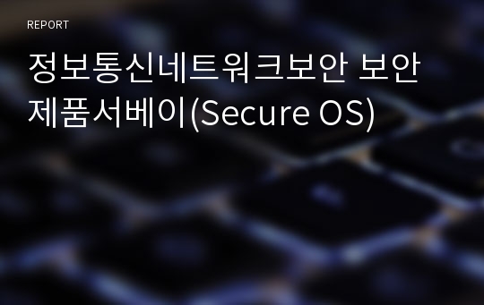 정보통신네트워크보안 보안제품서베이(Secure OS)