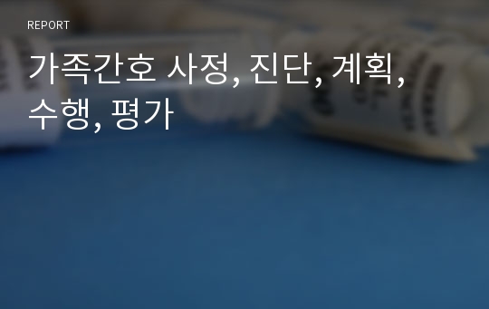 가족간호 사정, 진단, 계획, 수행, 평가