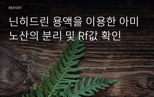 닌히드린 용액을 이용한 아미노산의 분리 및 Rf값 확인