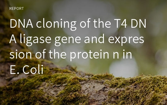 DNA cloning of the T4 DNA ligase gene and expression of the protein n in E. Coli