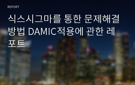 식스시그마를 통한 문제해결방법 DAMIC적용에 관한 레포트