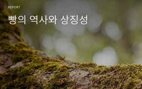 빵의 역사와 상징성