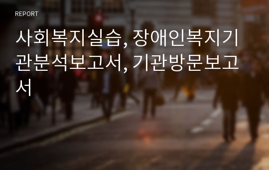 사회복지실습, 장애인복지기관분석보고서, 기관방문보고서