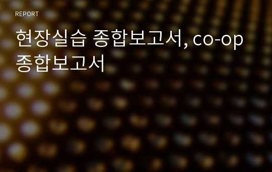 현장실습 종합보고서, co-op 종합보고서