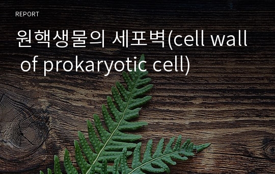 원핵생물의 세포벽(cell wall of prokaryotic cell)