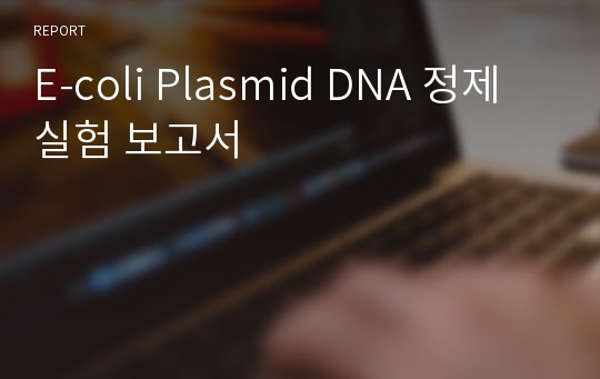 E-coli Plasmid DNA 정제 실험 보고서