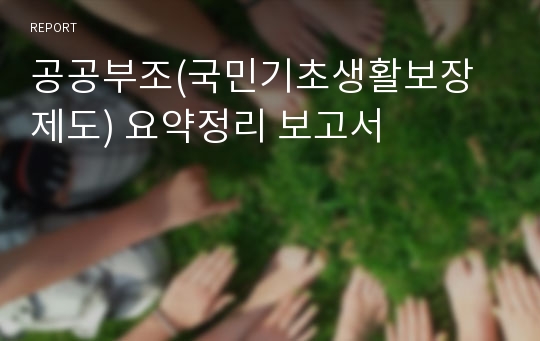 공공부조(국민기초생활보장제도) 요약정리 보고서