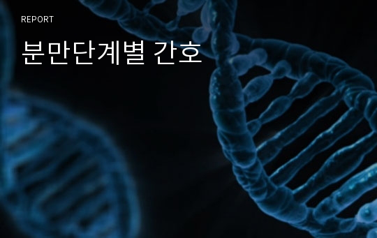 분만단계별 간호