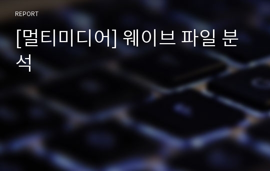 [멀티미디어] 웨이브 파일 분석