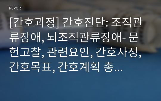 [간호과정] 간호진단: 조직관류장애, 뇌조직관류장애- 문헌고찰, 관련요인, 간호사정, 간호목표, 간호계획 총 정리