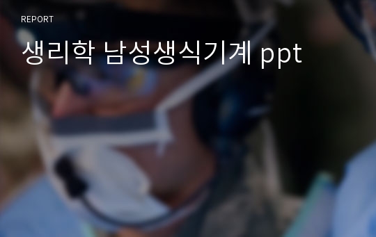 생리학 남성생식기계 ppt