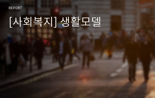 [사회복지] 생활모델