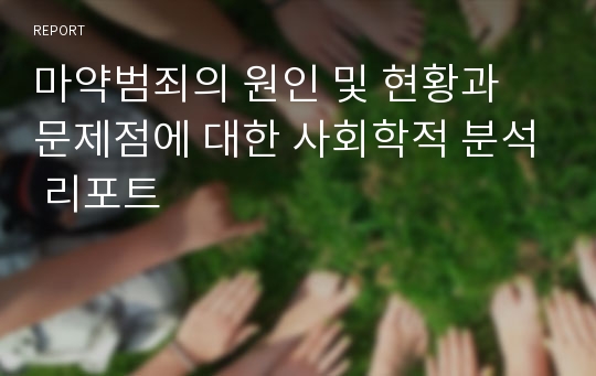 마약범죄의 원인 및 현황과 문제점에 대한 사회학적 분석 리포트