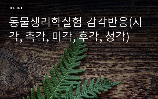 동물생리학실험-감각반응(시각, 촉각, 미각, 후각, 청각)