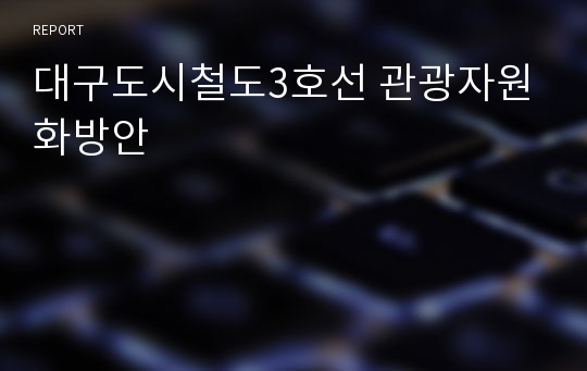 대구도시철도3호선 관광자원화방안