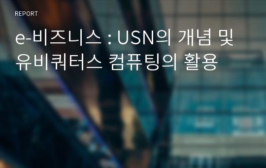 e-비즈니스 : USN의 개념 및 유비쿼터스 컴퓨팅의 활용