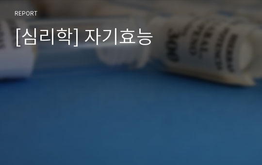 [심리학] 자기효능