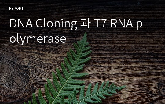 DNA Cloning 과 T7 RNA polymerase