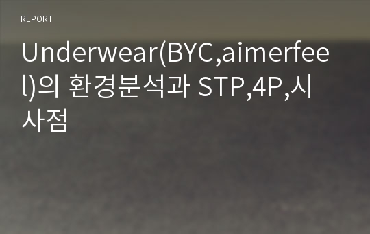 Underwear(BYC,aimerfeel)의 환경분석과 STP,4P,시사점