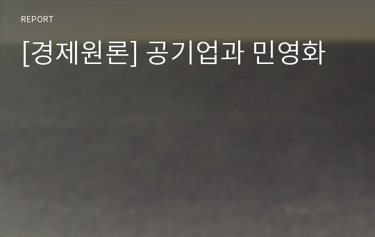 [경제원론] 공기업과 민영화