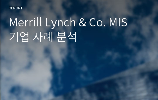 Merrill Lynch &amp; Co. MIS 기업 사례 분석