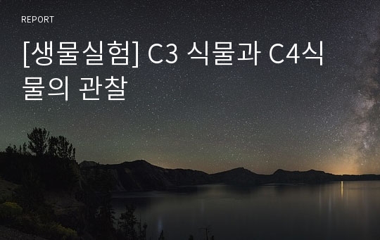 [생물실험] C3 식물과 C4식물의 관찰