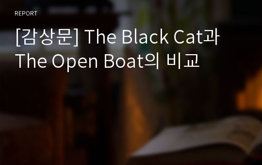 [감상문] The Black Cat과 The Open Boat의 비교