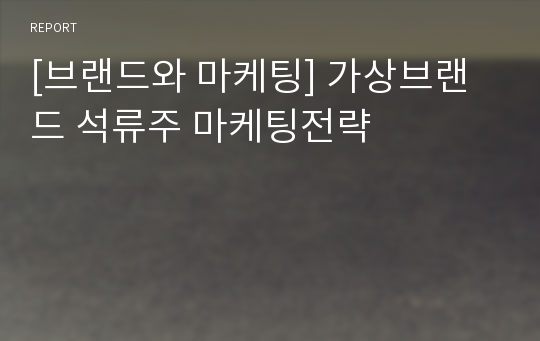 [브랜드와 마케팅] 가상브랜드 석류주 마케팅전략