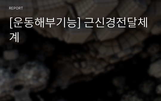 [운동해부기능] 근신경전달체계