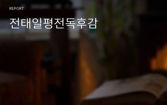 전태일평전독후감