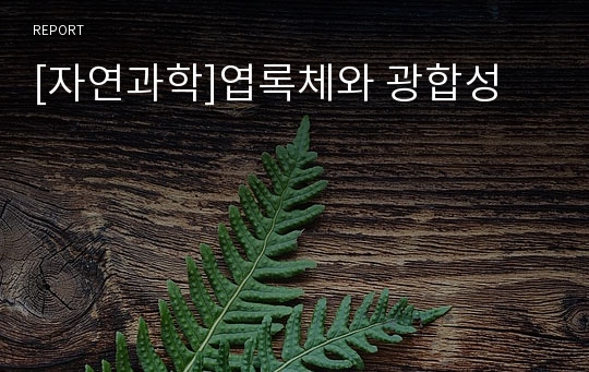 [자연과학]엽록체와 광합성