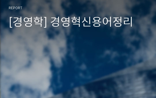 [경영학] 경영혁신용어정리