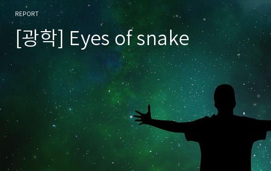 [광학] Eyes of snake