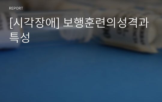 [시각장애] 보행훈련의성격과특성