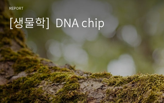 [생물학]  DNA chip