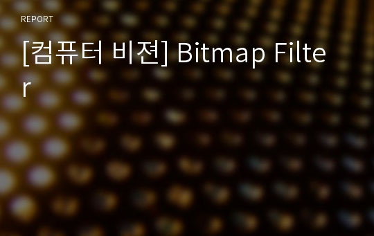 [컴퓨터 비젼] Bitmap Filter