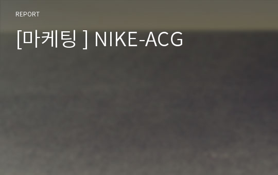 [마케팅 ] NIKE-ACG