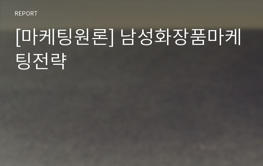 [마케팅원론] 남성화장품마케팅전략