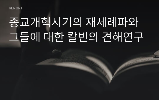 종교개혁시기의 재세례파와 그들에 대한 칼빈의 견해연구