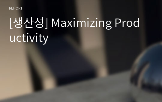 [생산성] Maximizing Productivity
