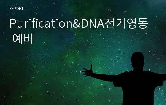 Purification&amp;DNA전기영동 예비