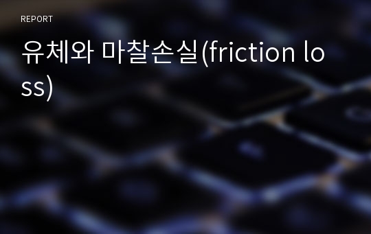 유체와 마찰손실(friction loss)