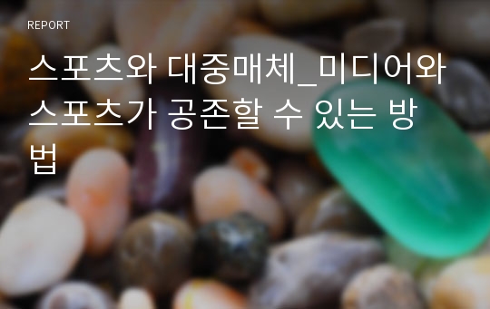 스포츠와 대중매체_미디어와 스포츠가 공존할 수 있는 방법